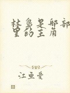 林枭是哪部小说里的主角