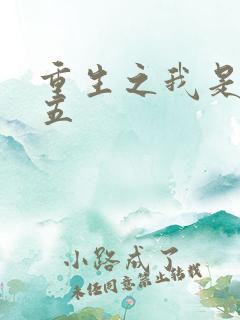 重生之我是王妈五