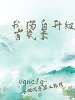 我独自升级动漫有几季