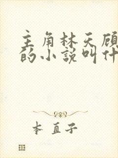 主角林天顾悦瑶的小说叫什么