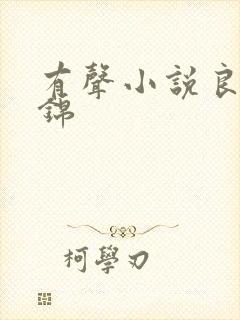 有声小说良陈美锦