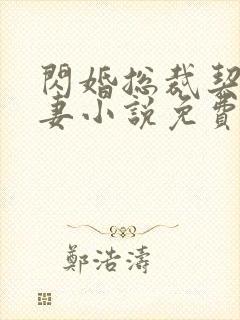 闪婚总裁契约甜妻小说免费阅读全文