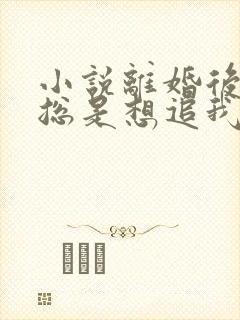 小说离婚后前夫总是想追我下载