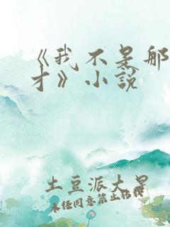 《我不是那种人才》小说