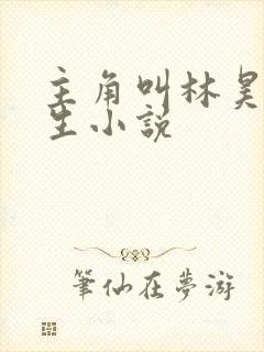 主角叫林昊的重生小说