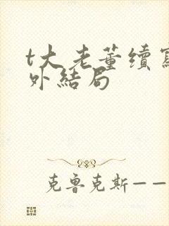 t大老董续写番外结局