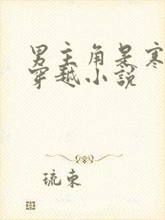 男主角是寒王的穿越小说