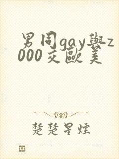 男同gay与z000交欧美