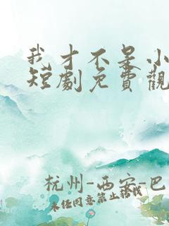 我才不是小可怜短剧免费观看全集