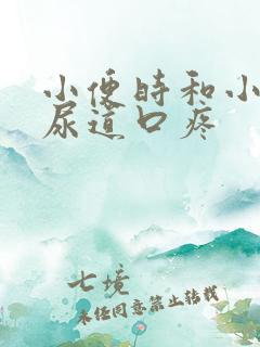 小便时和小便后尿道口疼