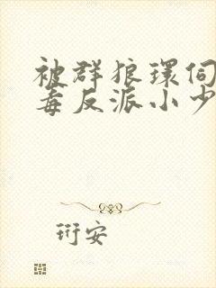 被群狼环伺的恶毒反派小少爷小说免