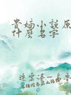 贵嫡小说原著叫什么名字