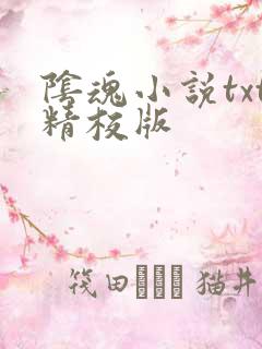 阴魂小说txt精校版