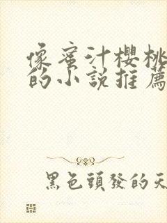 像蜜汁樱桃一样的小说推荐