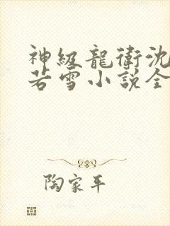 神级龙卫沈浪苏若雪小说全篇