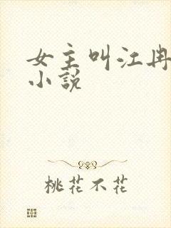 女主叫江冉冉的小说