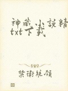 神藏小说精校版txt下载