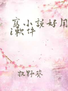 写小说好用的ai软件