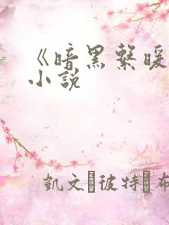 《暗黑系暖婚》小说