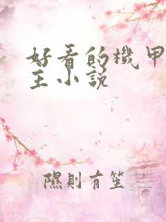 好看的机甲文女主小说