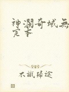 神澜奇域无双珠完本