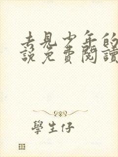 去见少年的你小说免费阅读