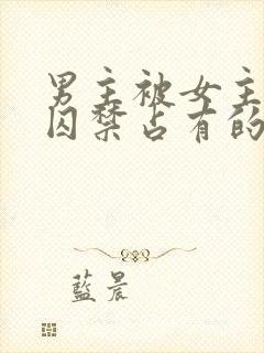 男主被女主疯狂囚禁占有的小说