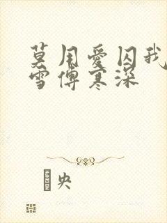 莫用爱囚我宋初雪傅寒深