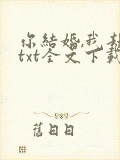 你结婚,我劫婚txt全文下载