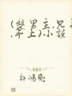 (双男主,兄弟,年上)小说