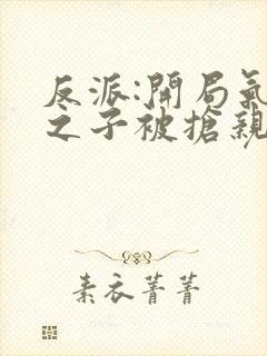 反派:开局气运之子被抢亲 反派之