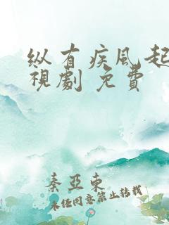 纵有疾风起 电视剧 免费