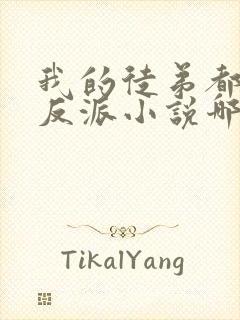 我的徒弟都是大反派小说哪可以找到