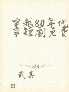 穿越80年代叶宁短剧免费观看
