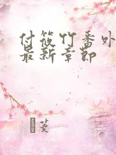 付筱竹番外篇的最新章节