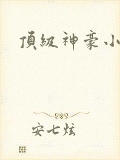 顶级神豪小说版