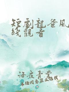 短剧龙爸风云在线观看