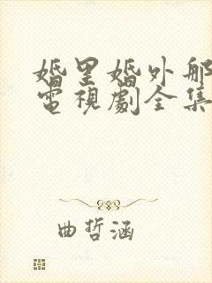 婚里婚外那些事电视剧全集