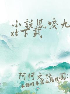 小说凤唳九天txt下载