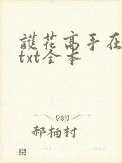 护花高手在都市txt全本