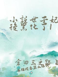 小说世子妃重生后黑化了1