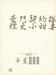 豪门契约总裁的烟火小甜妻免费阅读