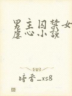 男主囚禁女主的虐心小说