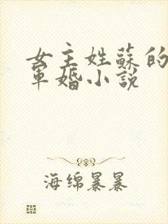 女主姓苏的重生军婚小说