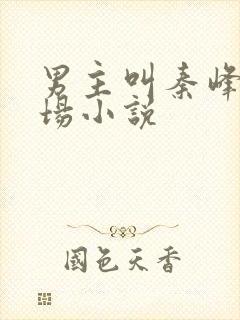 男主叫秦峰的官场小说