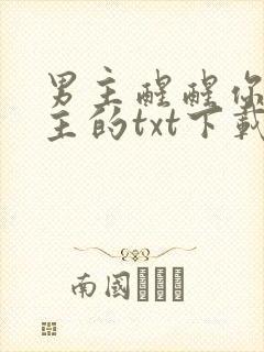 男主醒醒你是女主的txt下载