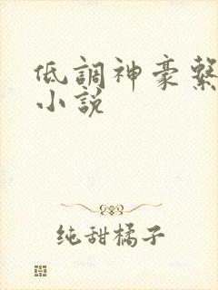 低调神豪系统类小说