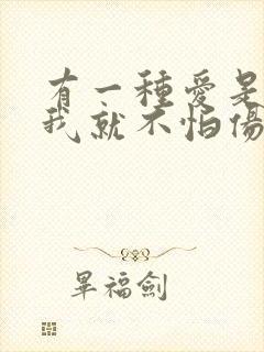 有一种爱是你在我就不怕伤害是什么歌