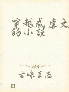 穿越成虐文女主的小说