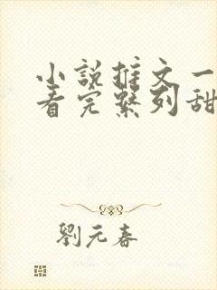 小说推文一口气看完系列甜文